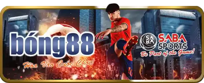 Giải đấu thể thao xoxo66 app